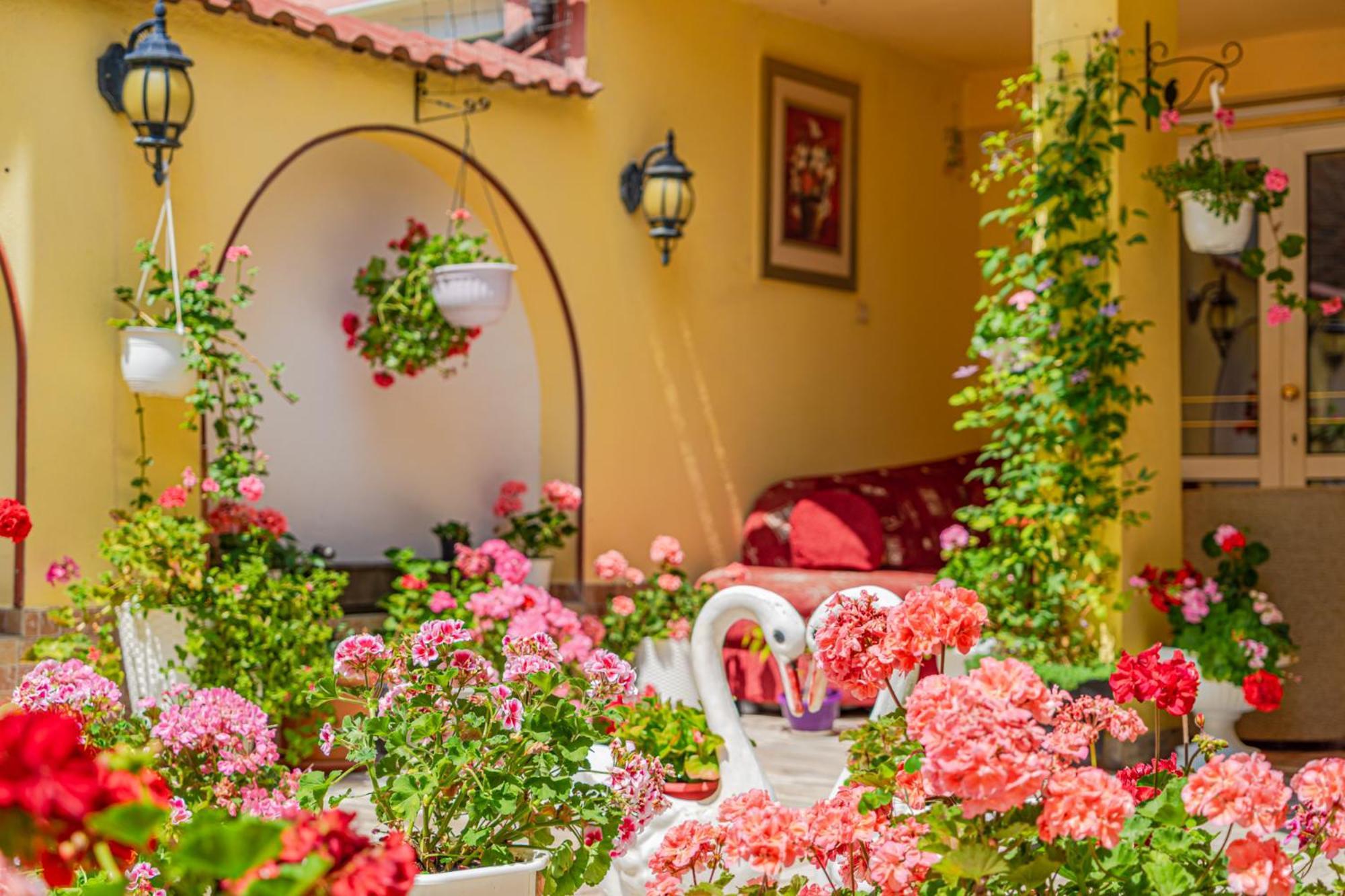 Boutique Guest House 'Sofia' Несебр Экстерьер фото